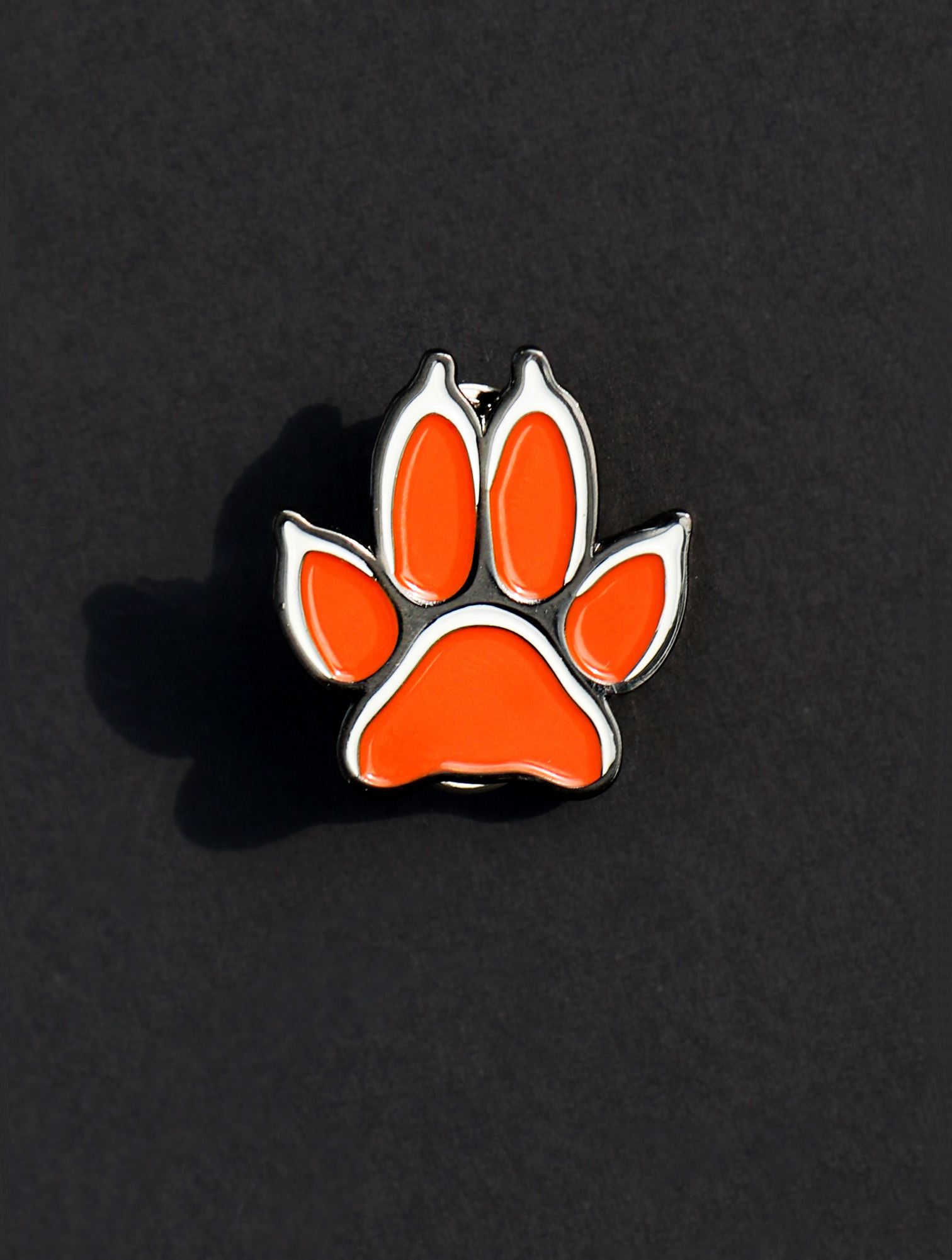 pin-lapka